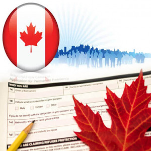 Làm sao để biết công ty tư vấn du học Canada nào tốt? Hỗ trợ yên tâm nhất